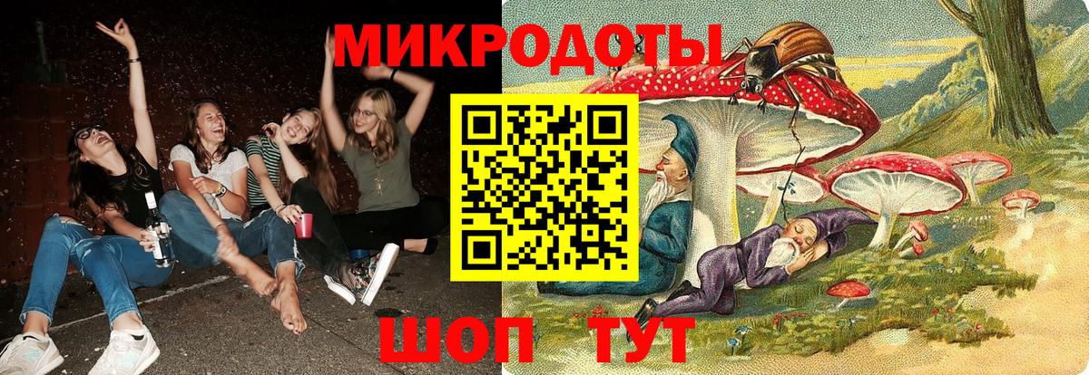 Псилоцибиновые грибы GOLDEN TEACHER Сокол