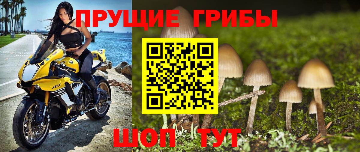 Сокол  где продают   Вход с VPN  Галлюциногенные грибы Magic Shrooms 